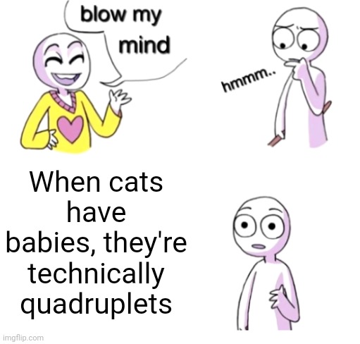 Meme #3,102 (Thanks Splodge) | When cats have babies, they're technically quadruplets | image tagged in blow my mind,memes,cats,quadruplets,shower thoughts,hmmm | made w/ Imgflip meme maker