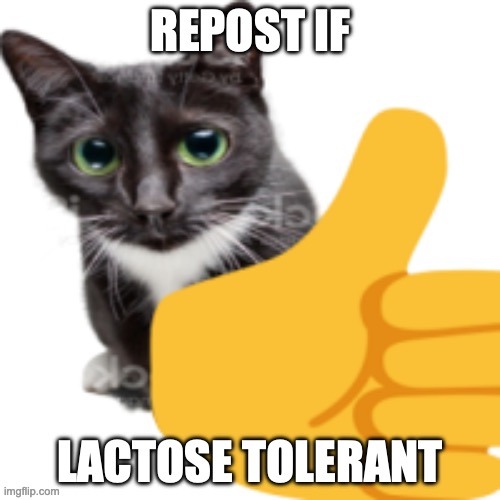 almost posted this in politics | made w/ Imgflip meme maker