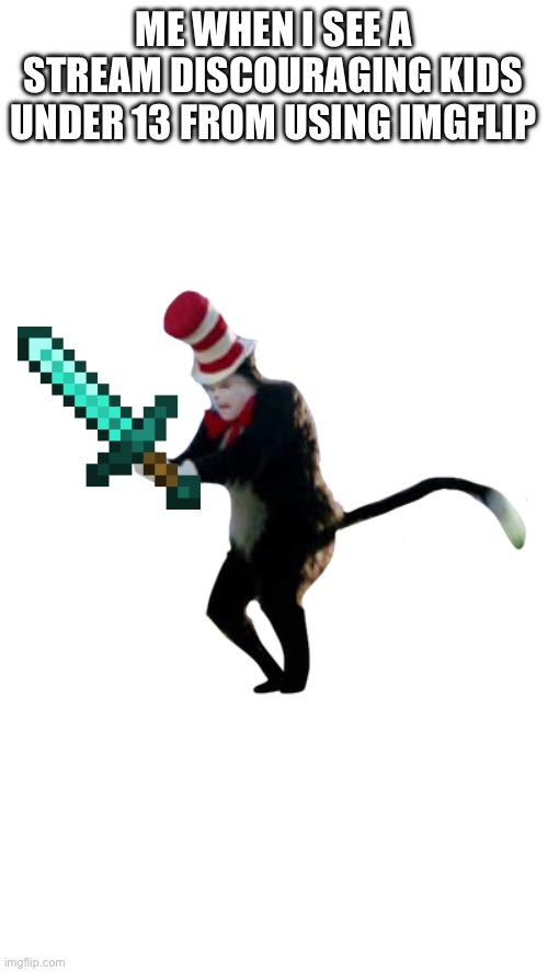 users, you’re supposed to make the content SAFE! | ME WHEN I SEE A STREAM DISCOURAGING KIDS UNDER 13 FROM USING IMGFLIP | image tagged in cat in the hat got a bat | made w/ Imgflip meme maker