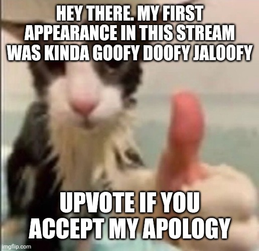 Cat thumbs up | HEY THERE. MY FIRST APPEARANCE IN THIS STREAM WAS KINDA GOOFY DOOFY JALOOFY; UPVOTE IF YOU ACCEPT MY APOLOGY | image tagged in cat thumbs up | made w/ Imgflip meme maker