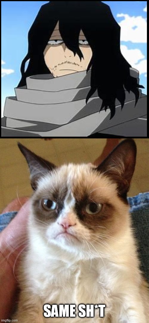 aizawa is a grumpy cat | SAME SH*T | image tagged in memes,grumpy cat,aizawa,mha,bnha | made w/ Imgflip meme maker