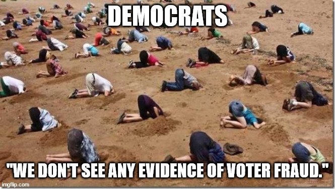 Head in sand | DEMOCRATS "WE DON'T SEE ANY EVIDENCE OF VOTER FRAUD." | image tagged in head in sand | made w/ Imgflip meme maker