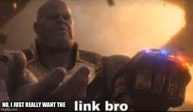 link bro | NO, I JUST REALLY WANT THE | image tagged in link bro | made w/ Imgflip meme maker