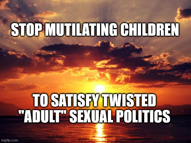 Sunset | STOP MUTILATING CHILDREN; TO SATISFY TWISTED "ADULT" SEXUAL POLITICS | image tagged in sunset | made w/ Imgflip meme maker