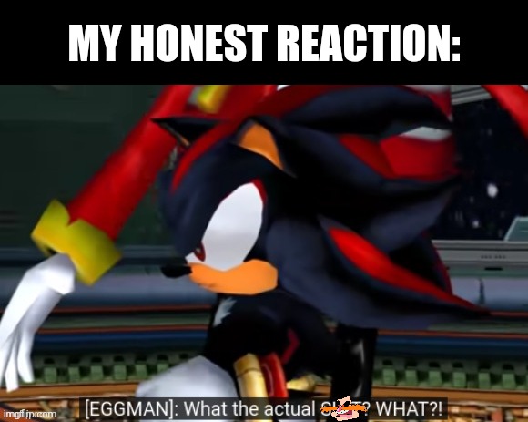 what the actual shit | MY HONEST REACTION: | image tagged in what the actual shit | made w/ Imgflip meme maker