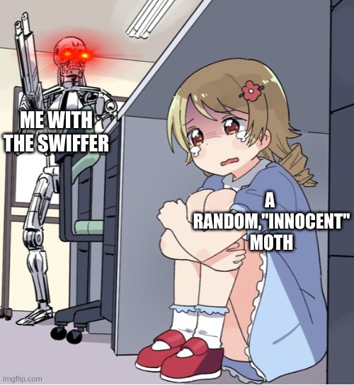 Anime Girl Hiding from Terminator | ME WITH THE SWIFFER; A  RANDOM,''INNOCENT'' MOTH | image tagged in anime girl hiding from terminator | made w/ Imgflip meme maker