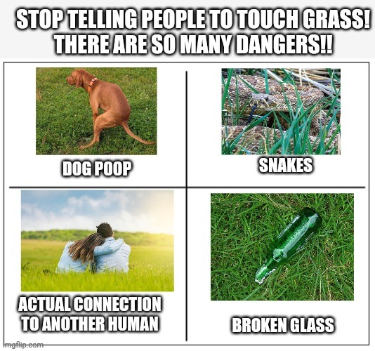 Touch Grass (Meme)