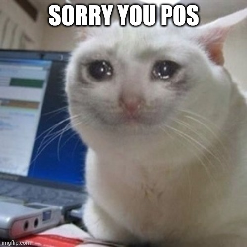 Crying cat | SORRY YOU POS | image tagged in crying cat | made w/ Imgflip meme maker