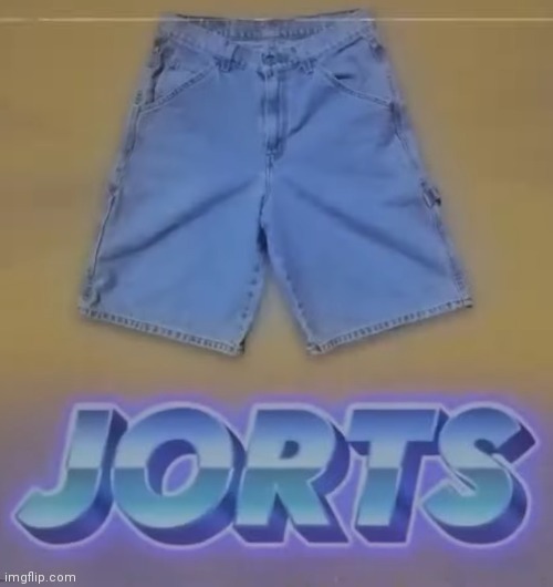 High Quality Jorts Blank Meme Template