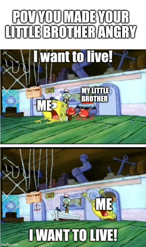 This is my little brother in a nutshell | POV YOU MADE YOUR LITTLE BROTHER ANGRY; MY LITTLE BROTHER; ME; ME | image tagged in i want to live | made w/ Imgflip meme maker