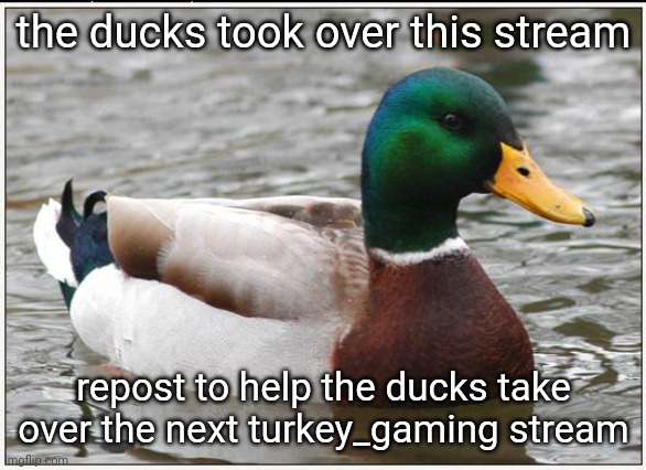 Actual Advice Mallard Meme | the ducks took over this stream; repost to help the ducks take over the next turkey_gaming stream | image tagged in memes,actual advice mallard | made w/ Imgflip meme maker