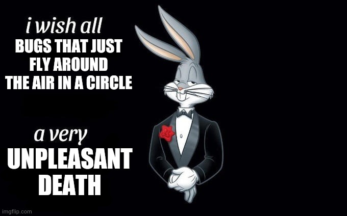 I wish all x a very y | BUGS THAT JUST FLY AROUND THE AIR IN A CIRCLE; UNPLEASANT DEATH | image tagged in i wish all x a very y | made w/ Imgflip meme maker