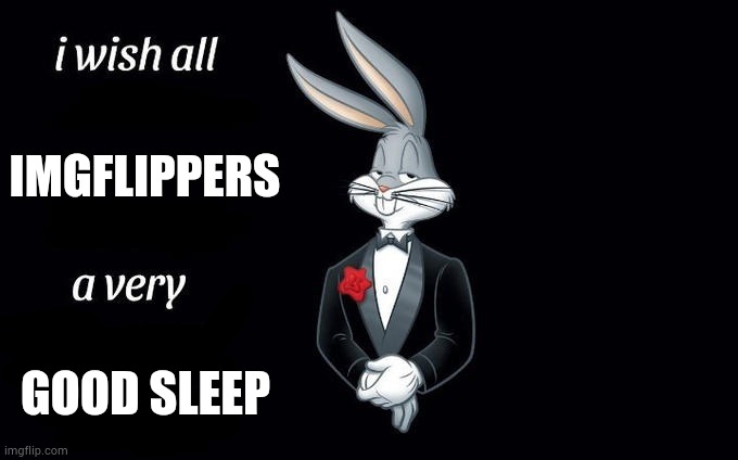 I got 4 hours of sleep last night ? | IMGFLIPPERS; GOOD SLEEP | image tagged in i wish all x a very y | made w/ Imgflip meme maker