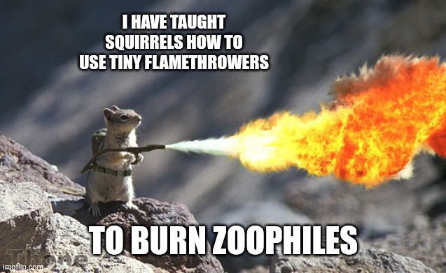 Flame War Squirrel | I HAVE TAUGHT SQUIRRELS HOW TO USE TINY FLAMETHROWERS TO BURN ZOOPHILES | image tagged in flame war squirrel | made w/ Imgflip meme maker