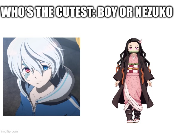 Who’s the cutest: Boy or Nezuko | WHO’S THE CUTEST: BOY OR NEZUKO | image tagged in anime | made w/ Imgflip meme maker