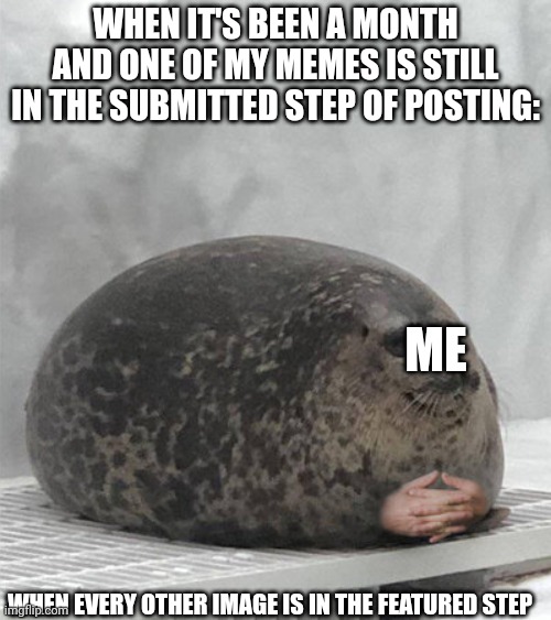 Waiting for something to successfully upload | WHEN IT'S BEEN A MONTH AND ONE OF MY MEMES IS STILL IN THE SUBMITTED STEP OF POSTING:; ME; WHEN EVERY OTHER IMAGE IS IN THE FEATURED STEP | image tagged in seal waiting | made w/ Imgflip meme maker