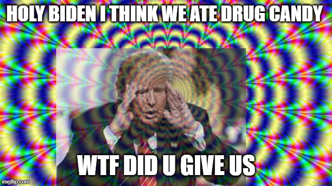 donald | HOLY BIDEN I THINK WE ATE DRUG CANDY; WTF DID U GIVE US | image tagged in hallucination,donald trump | made w/ Imgflip meme maker
