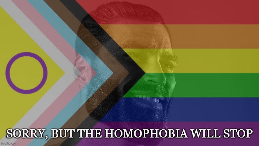 Sorry, but the homophobia will stop | SORRY, BUT THE HOMOPHOBIA WILL STOP | image tagged in chad,gigachad,lgbt,lgbtq,homophobia | made w/ Imgflip meme maker