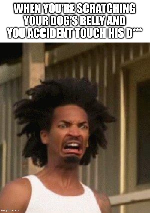 Disgusted Face | WHEN YOU'RE SCRATCHING YOUR DOG'S BELLY AND YOU ACCIDENT TOUCH HIS D*** | image tagged in disgusted face,dog | made w/ Imgflip meme maker
