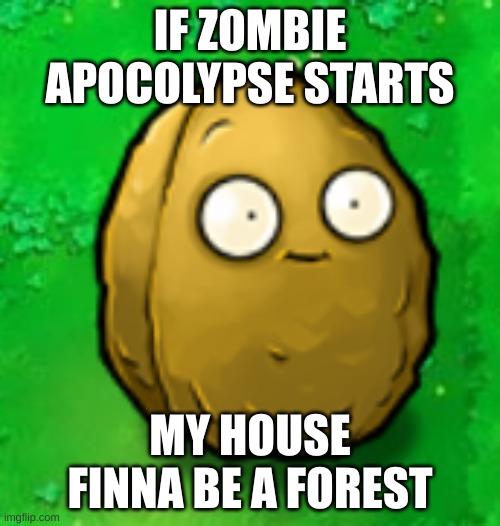 Wall-Nut | IF ZOMBIE APOCOLYPSE STARTS; MY HOUSE FINNA BE A FOREST | image tagged in wall-nut | made w/ Imgflip meme maker