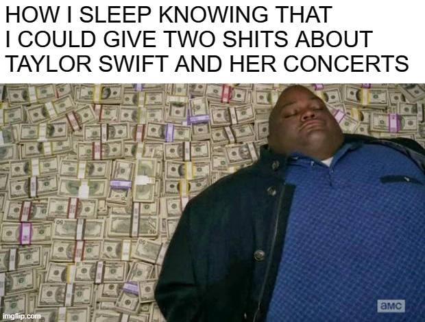 there are other things I could spend my money on! | HOW I SLEEP KNOWING THAT I COULD GIVE TWO SHITS ABOUT TAYLOR SWIFT AND HER CONCERTS | image tagged in huell money | made w/ Imgflip meme maker