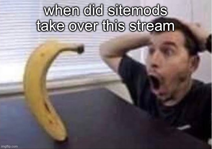banana standing up | when did sitemods take over this stream | image tagged in banana standing up | made w/ Imgflip meme maker