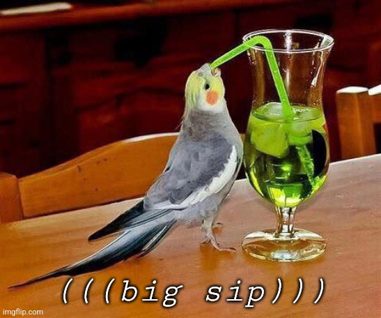 Big Sip | (((big sip))) | image tagged in big sip | made w/ Imgflip meme maker