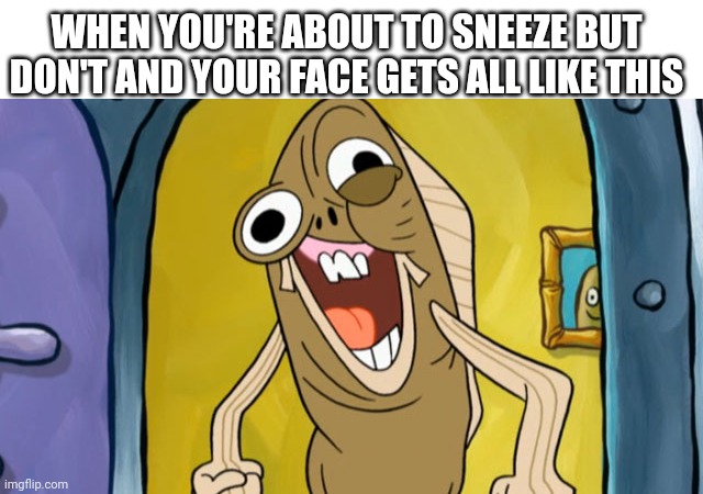 Spongebob Funny Face | WHEN YOU'RE ABOUT TO SNEEZE BUT DON'T AND YOUR FACE GETS ALL LIKE THIS | image tagged in spongebob funny face,religion,memes,funny memes,funny | made w/ Imgflip meme maker