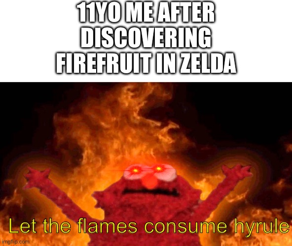 *Evil link laughter* | 11YO ME AFTER DISCOVERING FIREFRUIT IN ZELDA; Let the flames consume hyrule | image tagged in elmo fire,legend of zelda,new discovery,fire | made w/ Imgflip meme maker