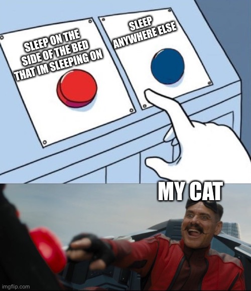 Why | SLEEP ANYWHERE ELSE; SLEEP ON THE SIDE OF THE BED THAT IM SLEEPING ON; MY CAT | image tagged in robotnik button | made w/ Imgflip meme maker