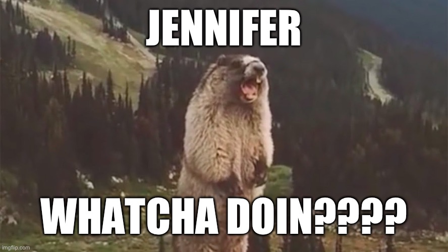 Screaming Marmot | JENNIFER; WHATCHA DOIN???? | image tagged in screaming marmot | made w/ Imgflip meme maker