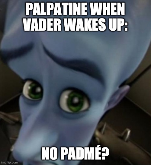 Megamind no bitches | PALPATINE WHEN VADER WAKES UP:; NO PADMÉ? | image tagged in megamind no bitches | made w/ Imgflip meme maker