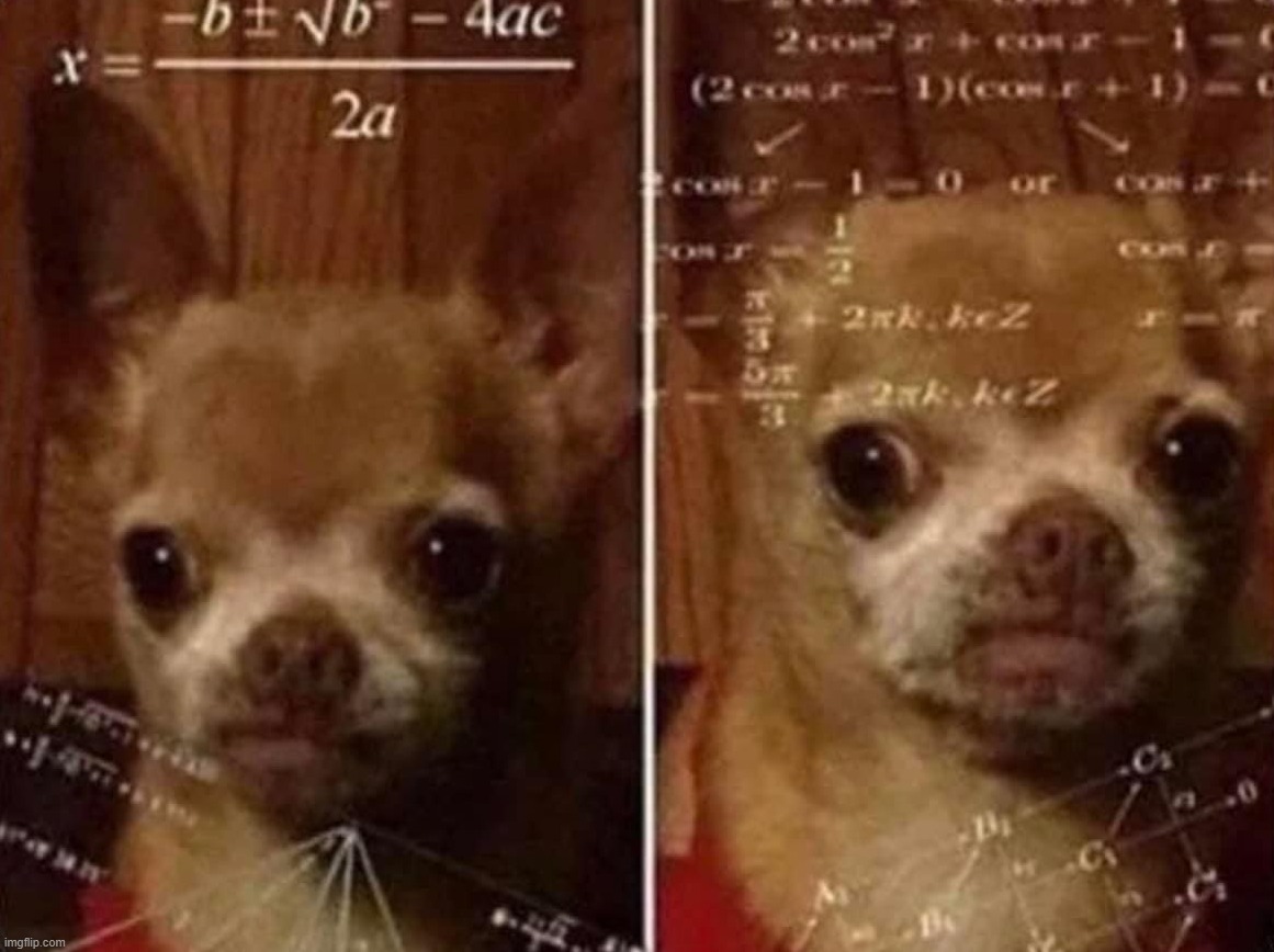 Dog math | image tagged in dog math | made w/ Imgflip meme maker