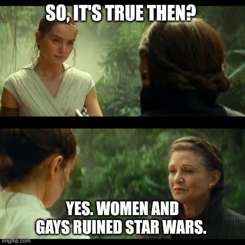 Ruined Star Wars | SO, IT'S TRUE THEN? YES. WOMEN AND GAYS RUINED STAR WARS. | image tagged in star wars,jedi | made w/ Imgflip meme maker