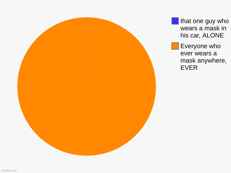 Everyone who ever wears a mask anywhere, EVER, that one guy who wears a mask in his car, ALONE | image tagged in charts,pie charts | made w/ Imgflip chart maker