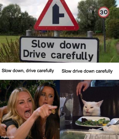 I hope this gets submitted lol this is my first time posting here | Slow down, drive carefully; Slow drive down carefully | image tagged in memes,woman yelling at cat | made w/ Imgflip meme maker