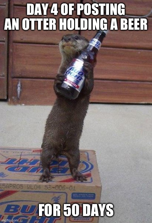 Day four of posting an otter holding a beer for 50 days | DAY 4 OF POSTING AN OTTER HOLDING A BEER; FOR 50 DAYS | image tagged in beer otter,otters,funny,funny memes,animals | made w/ Imgflip meme maker