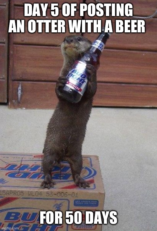 Day five of posting an otter holding a beer for 50 days | DAY 5 OF POSTING AN OTTER WITH A BEER; FOR 50 DAYS | image tagged in beer otter,otters,animals,funny,funny memes | made w/ Imgflip meme maker