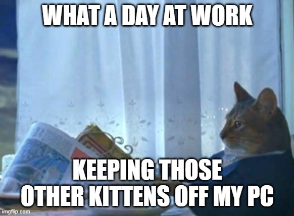 What a day... | WHAT A DAY AT WORK; KEEPING THOSE OTHER KITTENS OFF MY PC | image tagged in cat newspaper | made w/ Imgflip meme maker