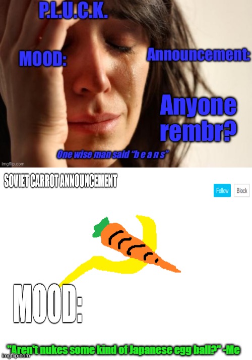 P.L.U.C.K. and soviet-carrot/CommunityModerator12 announcements | Anyone rembr? | image tagged in p l u c k and soviet-carrot/communitymoderator12 announcements | made w/ Imgflip meme maker