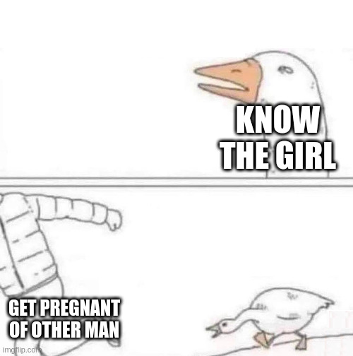 other | KNOW THE GIRL; GET PREGNANT OF OTHER MAN | image tagged in goose chase | made w/ Imgflip meme maker