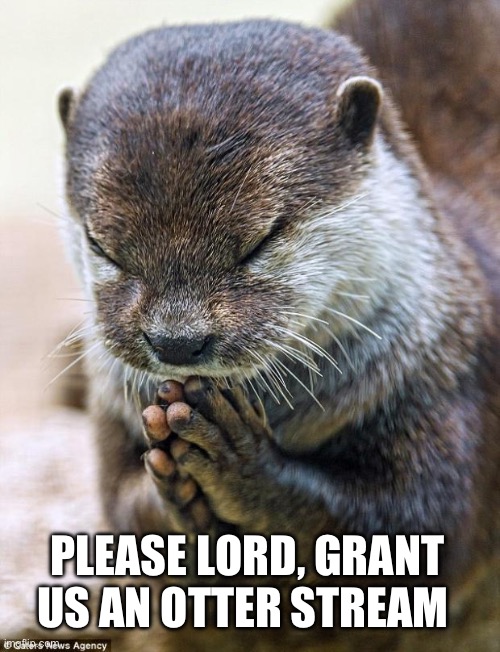 Otterstream first post | PLEASE LORD, GRANT US AN OTTER STREAM | image tagged in thank you lord otter,otter,otters | made w/ Imgflip meme maker
