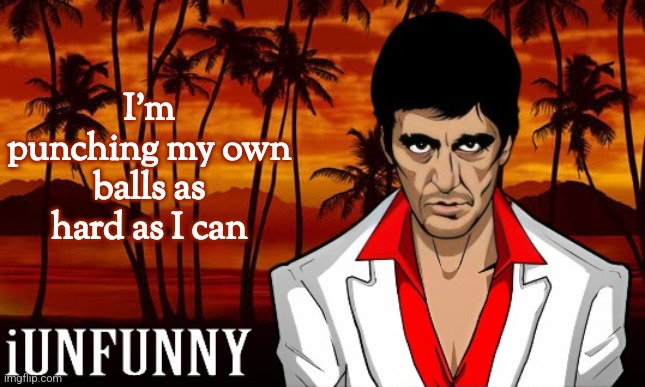 iUnFunny's Scarface template | I'm punching my own balls as hard as I can | image tagged in iunfunny's scarface template | made w/ Imgflip meme maker