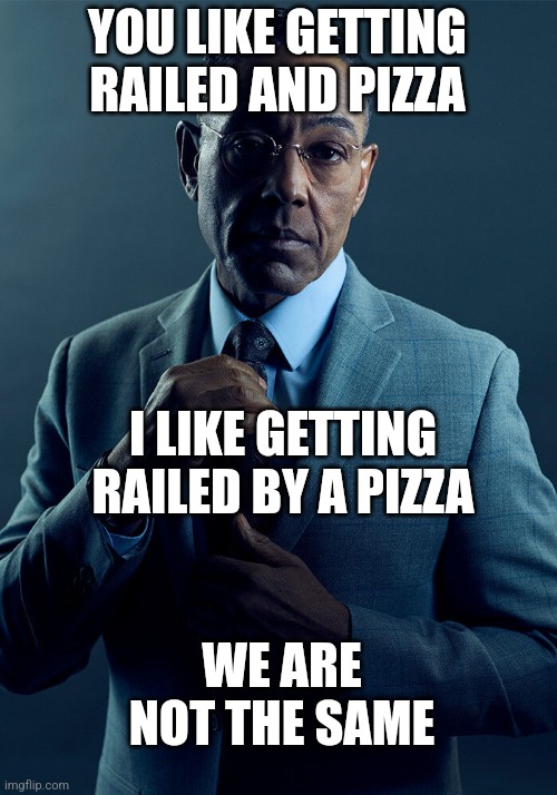 Gus Fring we are not the same | YOU LIKE GETTING RAILED AND PIZZA I LIKE GETTING RAILED BY A PIZZA WE ARE NOT THE SAME | image tagged in gus fring we are not the same | made w/ Imgflip meme maker