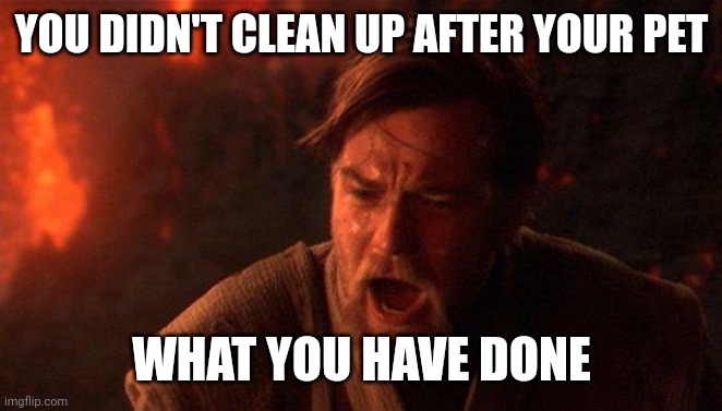 Watch you pet Anakin | YOU DIDN'T CLEAN UP AFTER YOUR PET; WHAT YOU HAVE DONE | image tagged in memes,you were the chosen one star wars | made w/ Imgflip meme maker
