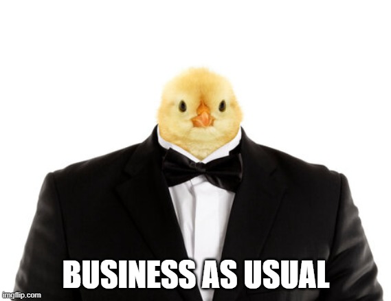 I love this image | BUSINESS AS USUAL | image tagged in chicken,chick,chick in tuxedo,cute,funny,memes | made w/ Imgflip meme maker