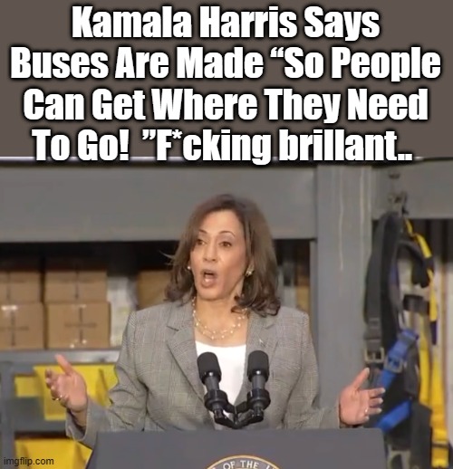 I've always wondered why buses were built.. | Kamala Harris Says Buses Are Made “So People Can Get Where They Need To Go!  ”F*cking brillant.. | image tagged in democrats,psychopaths and serial killers,liar,corruption | made w/ Imgflip meme maker