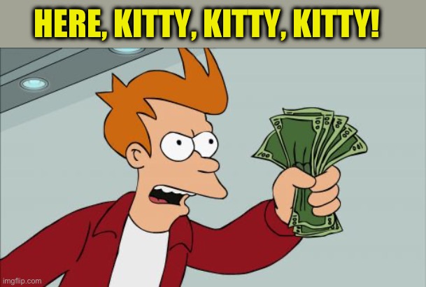 Shut Up And Take My Money Fry Meme | HERE, KITTY, KITTY, KITTY! | image tagged in memes,shut up and take my money fry | made w/ Imgflip meme maker
