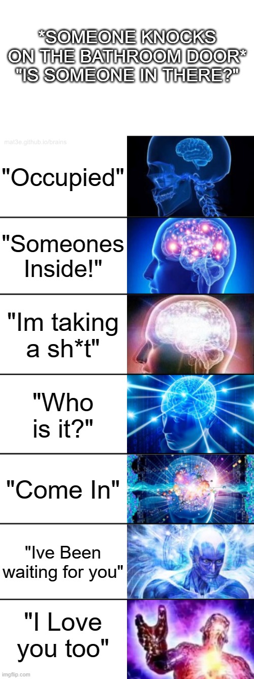 What is your response to this? | *SOMEONE KNOCKS ON THE BATHROOM DOOR* "IS SOMEONE IN THERE?"; "Occupied"; "Someones Inside!"; "Im taking a sh*t"; "Who is it?"; "Come In"; "Ive Been waiting for you"; "I Love you too" | image tagged in 7-tier expanding brain | made w/ Imgflip meme maker