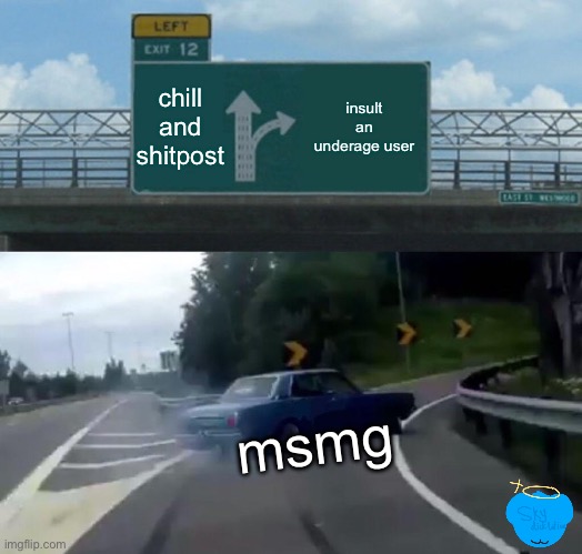 (Ps my me is 10yr old) | chill and shitpost; insult an underage user; msmg | image tagged in memes,left exit 12 off ramp | made w/ Imgflip meme maker